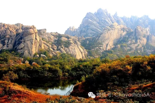 紅葉百花相映紅 秋染嵖岈醉“楓”情