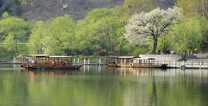 與花相遇，與山重逢，清明踏青正當(dāng)時(shí)！